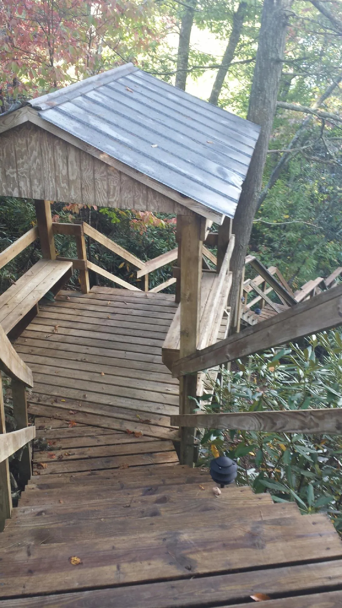 Metal roofed shelter over wooden steps on a wooded walkway — Skylight Repair & Installation work by our crew in Courtland